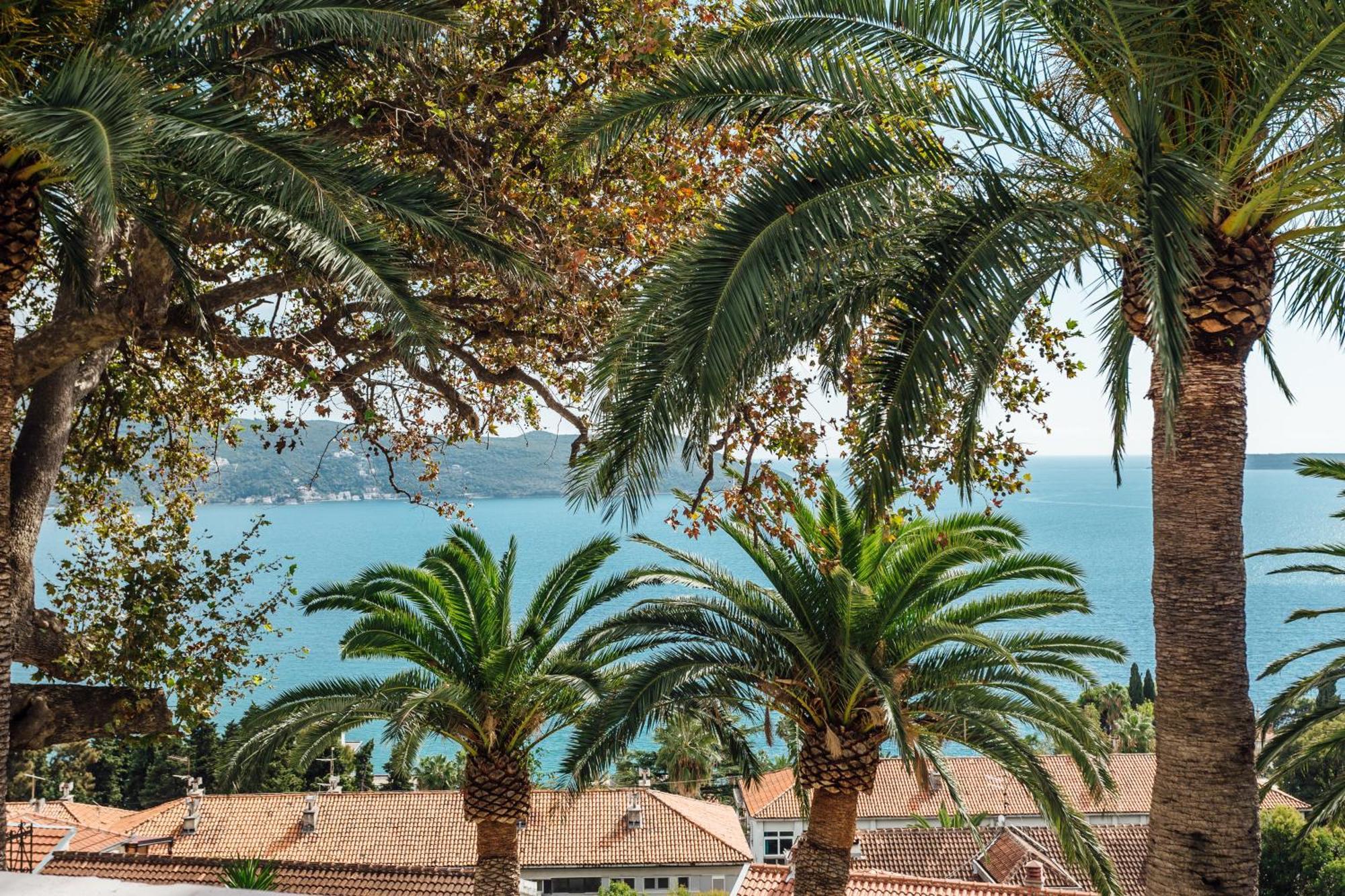 Apartments Belvedere Herceg Novi Oda fotoğraf